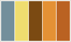 Brown4color-scheme-301-library