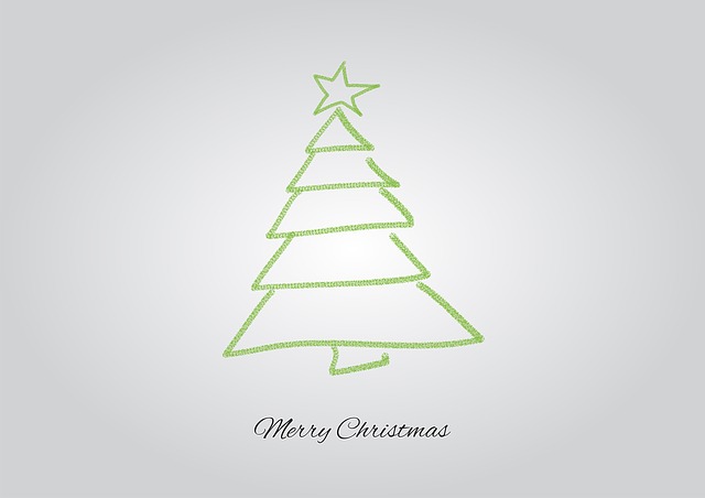 christmas-tree-1093959_640