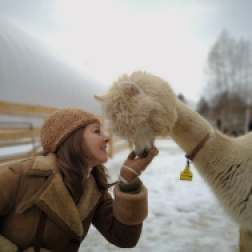 alpaca white & 3cstyle_n